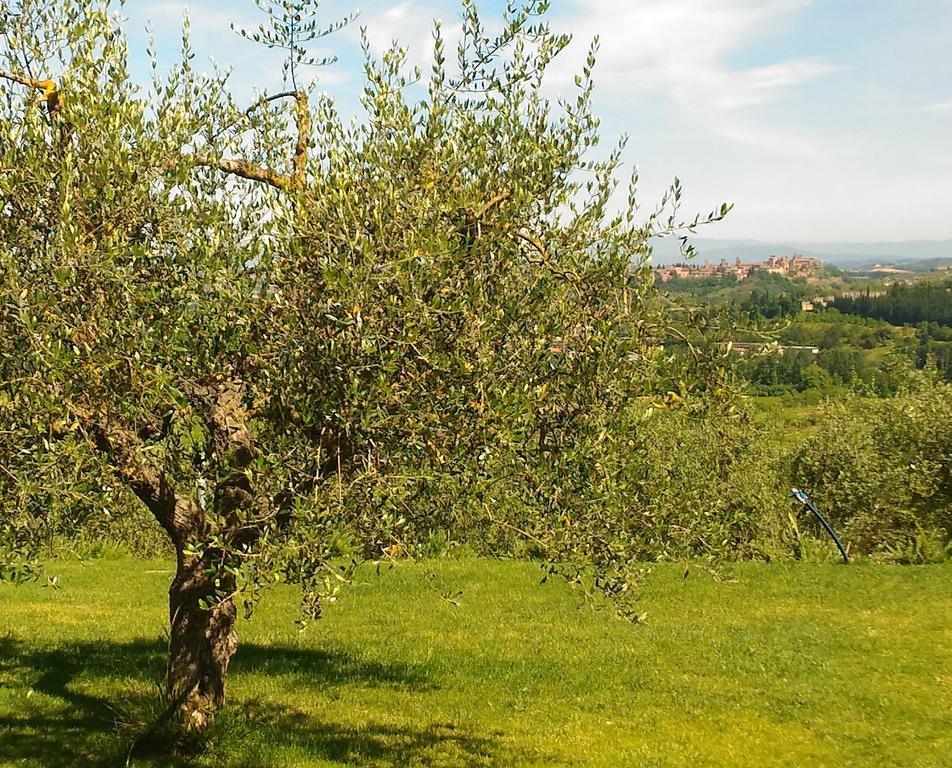 Capanna 1826 Villa San Gimignano Bagian luar foto